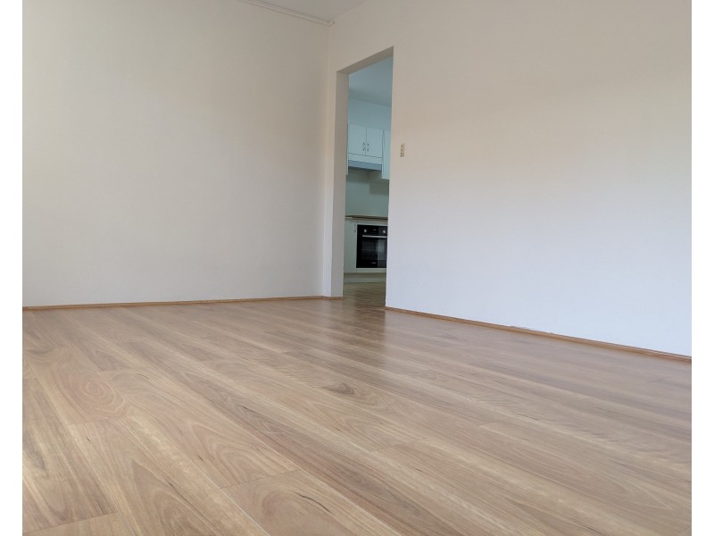 16 BAYLEY STREET, Marrickville NSW 2204