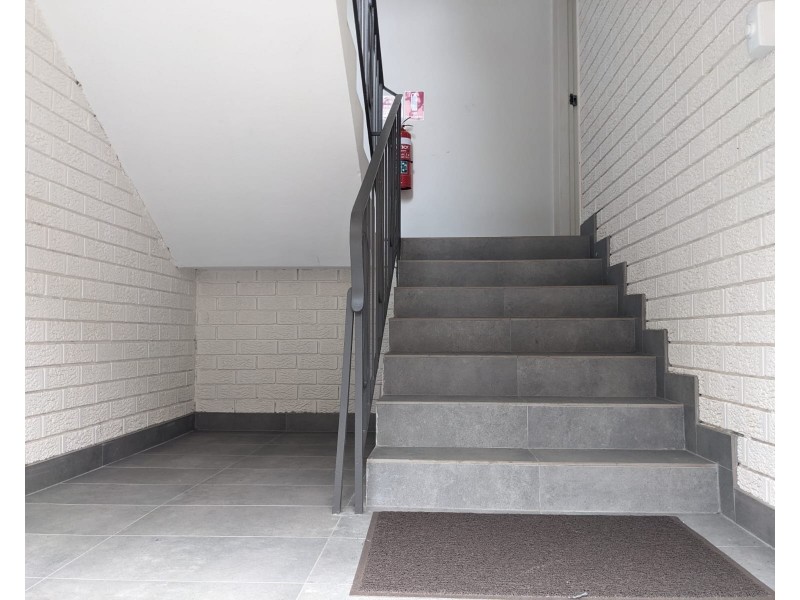 16 BAYLEY STREET, Marrickville NSW 2204