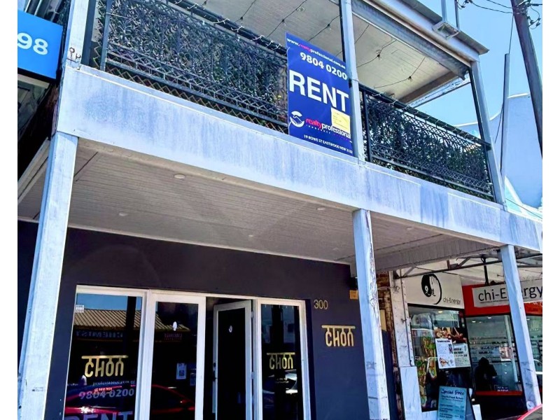 300 DARLING STREET, Balmain NSW 2041