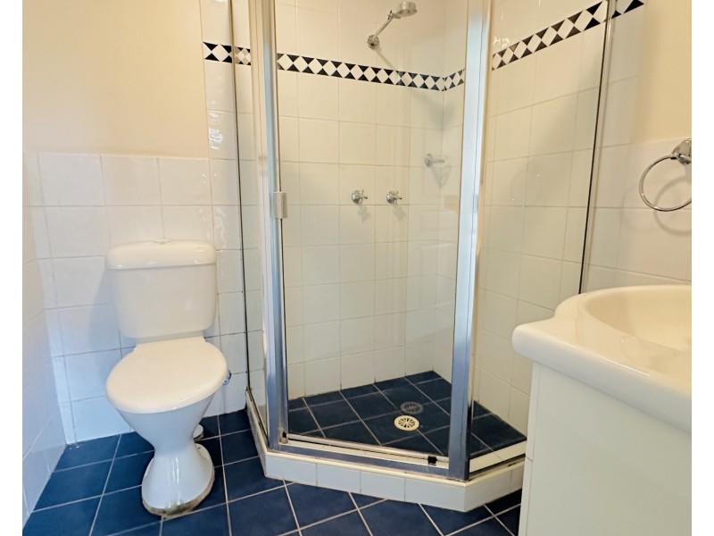 2/166 Bridge Road, Westmead NSW 2145