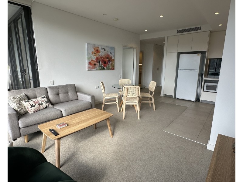 308/16 HILLY STREET, Mortlake NSW 2137