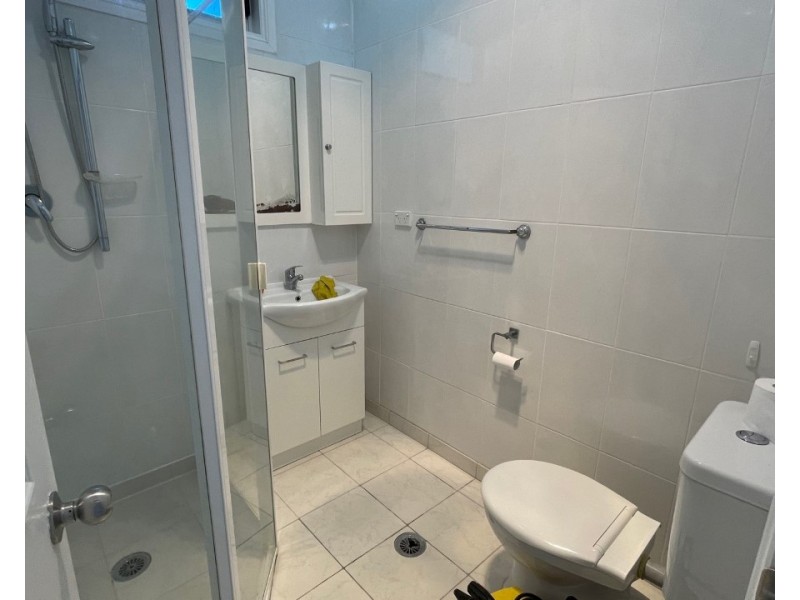 87 Priam Street, Chester Hill NSW 2162