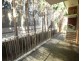 3/2 First Ave, Eastwood NSW 2122