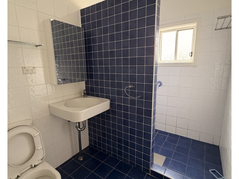 55 Park Rd, Rydalmere NSW 2116