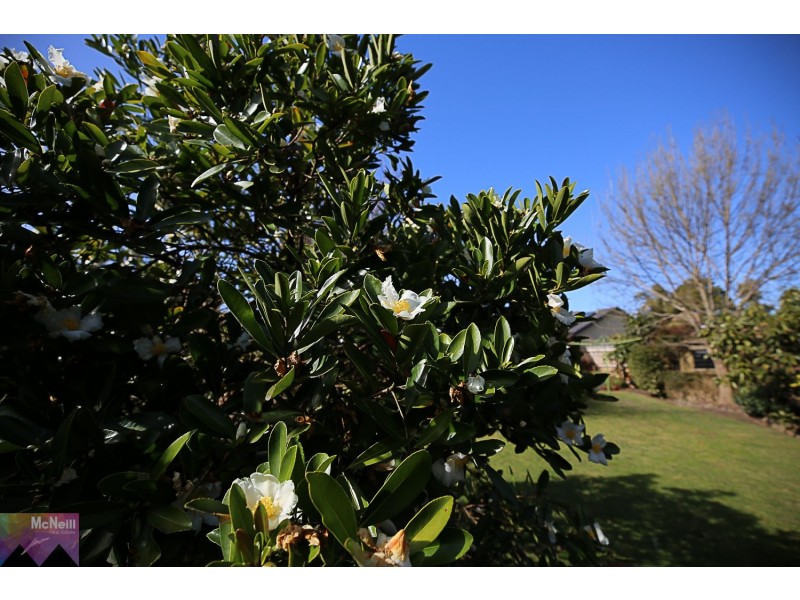 186 Mt Eliza Way, Mount Eliza VIC 3930