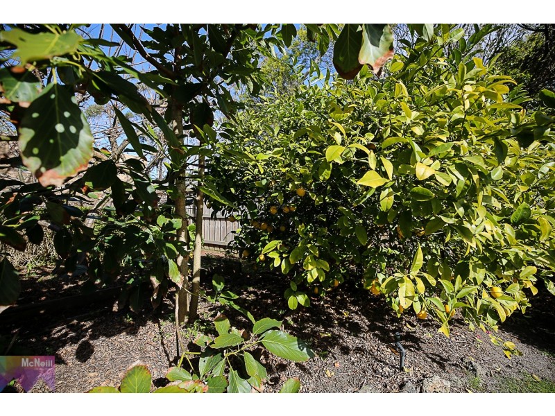 186 Mt Eliza Way, Mount Eliza VIC 3930