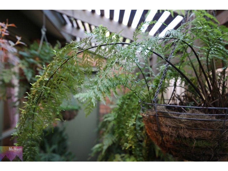 186 Mt Eliza Way, Mount Eliza VIC 3930