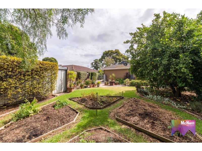 11 Craig Avenue, Tyabb VIC 3913