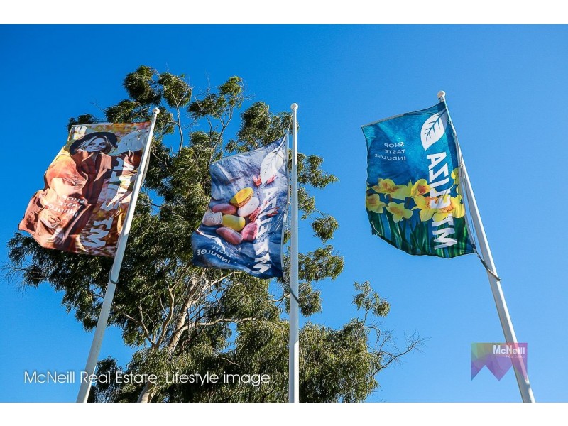 62-64 Eumeralla Grove, Mount Eliza VIC 3930