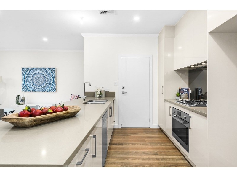 1b Tilden Street, Plympton SA 5038