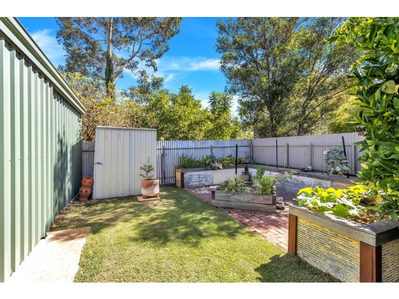 65 Carlisle Road, Westbourne Park SA 5041