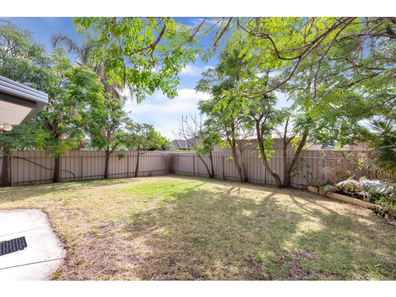9 Cosgrove Terrace, Clovelly Park SA 5042