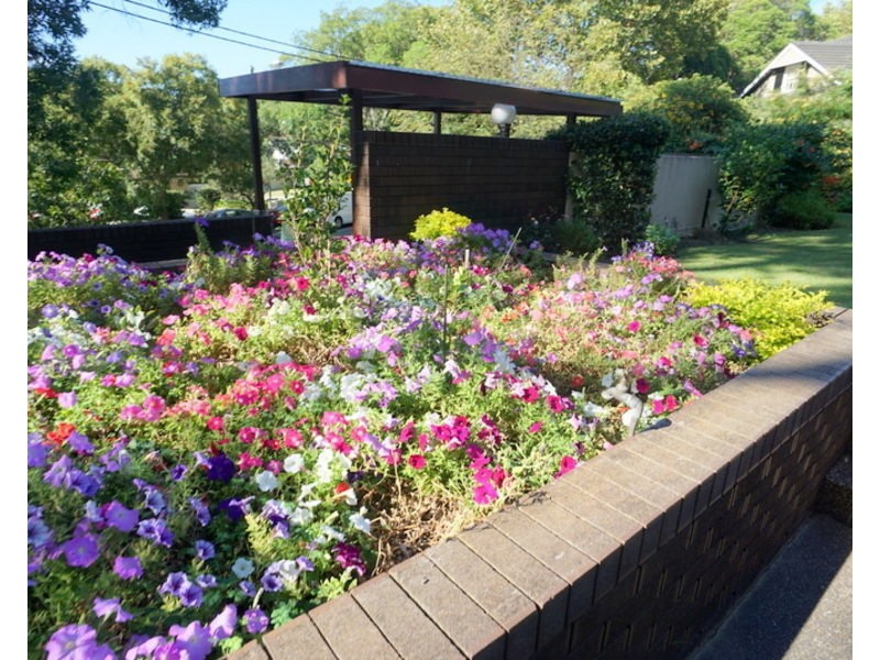 8/366 Edgecliff Road, Woollahra NSW 2025