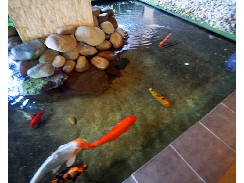 8/366 Edgecliff Road, Woollahra NSW 2025