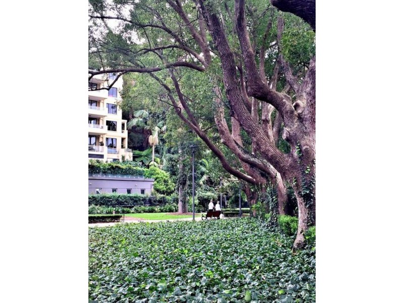 16/3 Clement Street, Rushcutters Bay NSW 2011