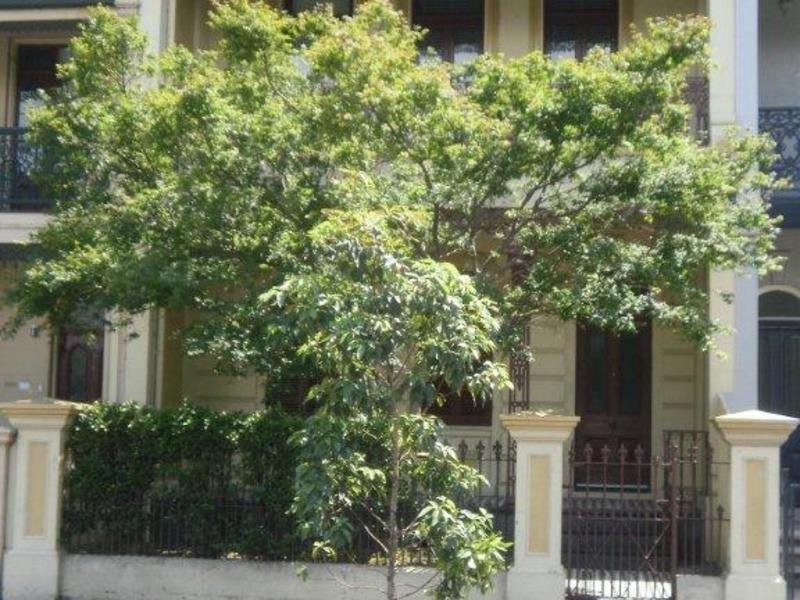 8 Moore Park Road, Paddington NSW 2021