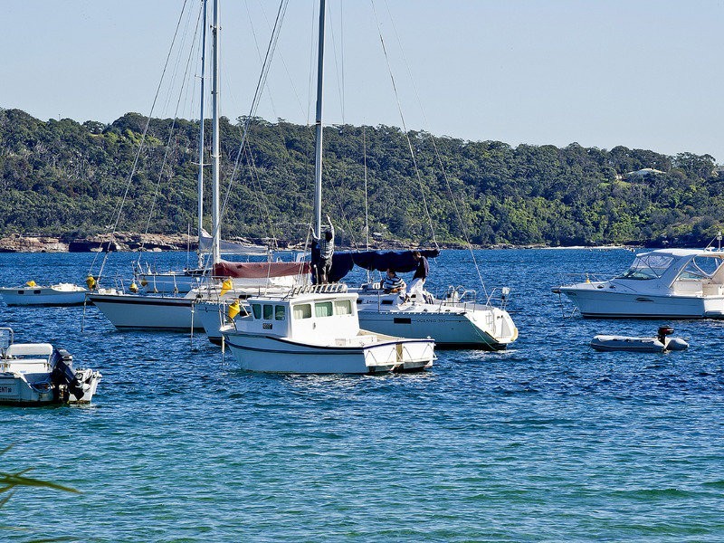 2/10A Russell Street, Vaucluse NSW 2030