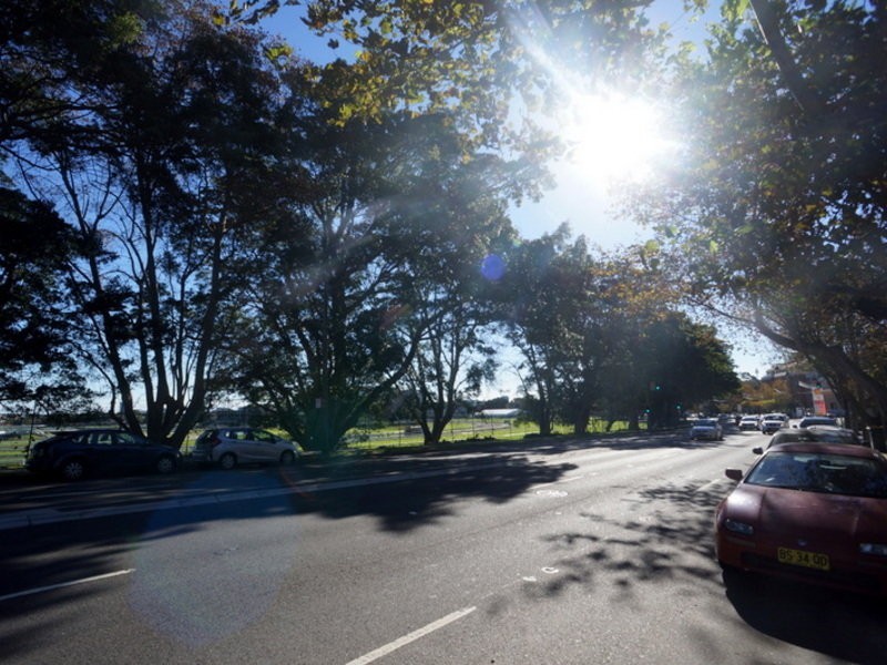 2/86 Alison Road, Randwick NSW 2031