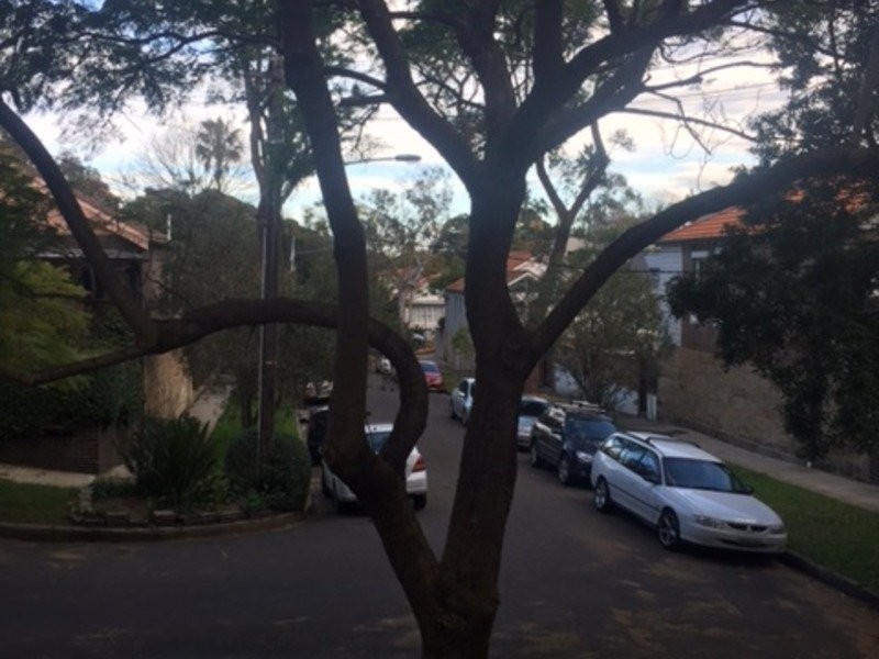 6 Yenda Avenue, Queens Park NSW 2022