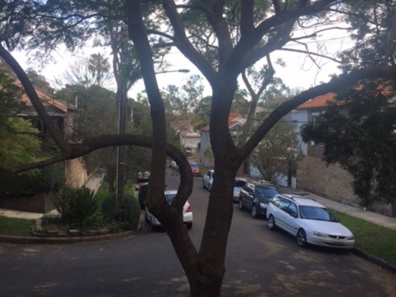 6 Yenda Avenue, Queens Park NSW 2022