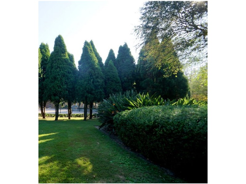 40 The Avenue, Randwick NSW 2031