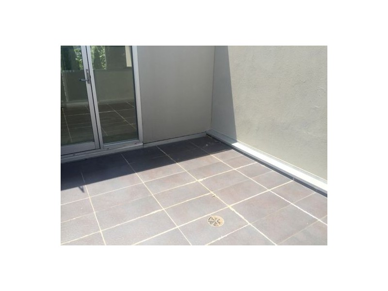 5/69 Dangar Street, Randwick NSW 2031