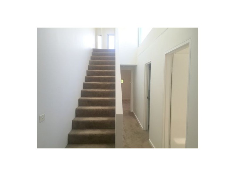 5/ 69 Dangar Street, Randwick NSW 2031