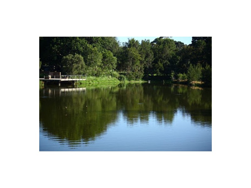 5/44 Carrington Rd, Waverley NSW 2024