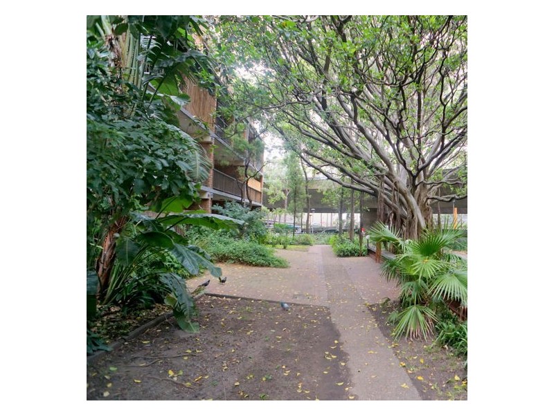 109/313 Harris Street, Ultimo NSW 2007