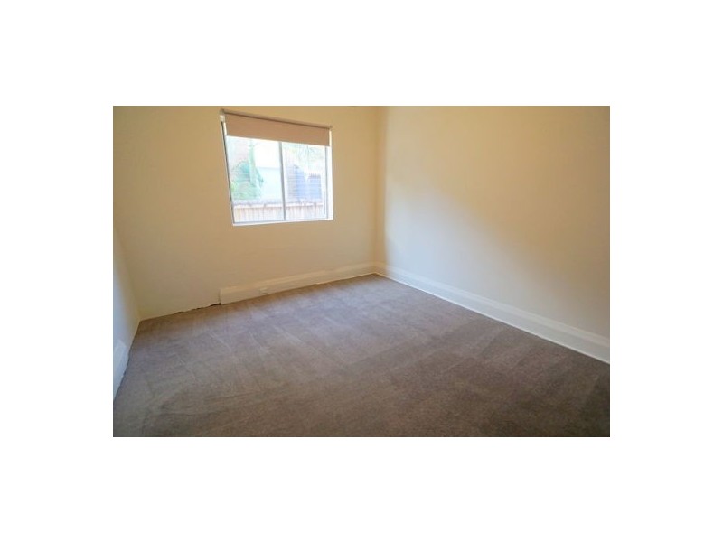 19 Wardell Road, Lewisham NSW 2049