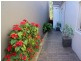 181 Denison Street, Bondi Junction NSW 2022