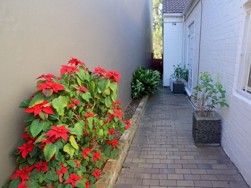 181 Denison Street, Bondi Junction NSW 2022