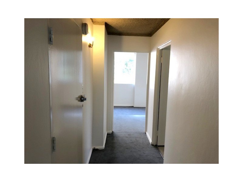 3/7A Penkivil Street, Bondi NSW 2026