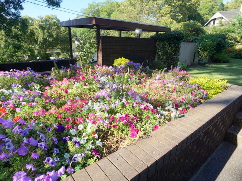 8/366 Edgecliff Road, Woollahra NSW 2025