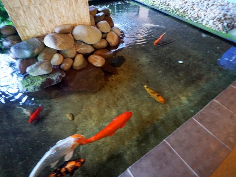 8/366 Edgecliff Road, Woollahra NSW 2025