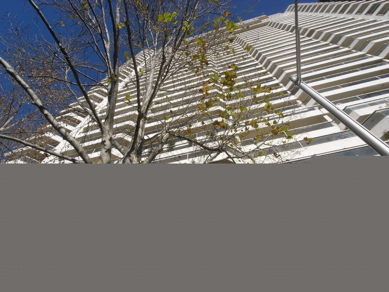 809/187 Liverpool Street, Sydney NSW 2000