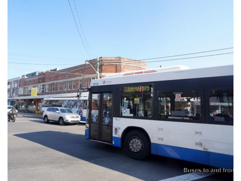 40 The Avenue, Randwick NSW 2031