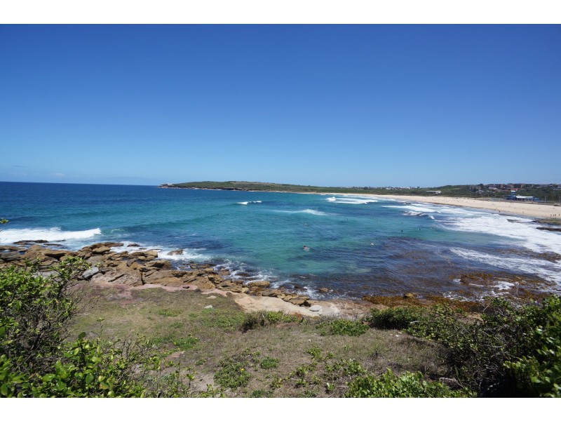 2/141 Maroubra Road, Maroubra NSW 2035