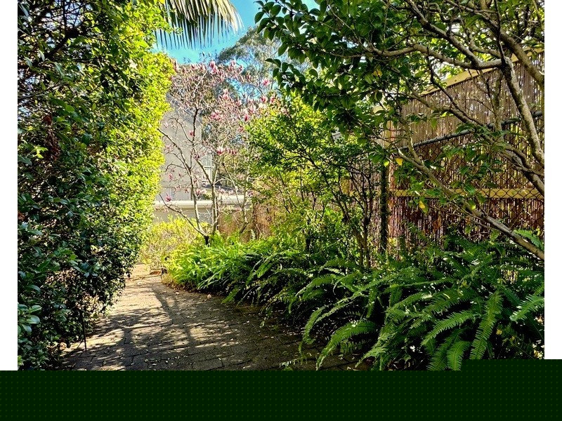 78 Holdsworth Street, Woollahra NSW 2025