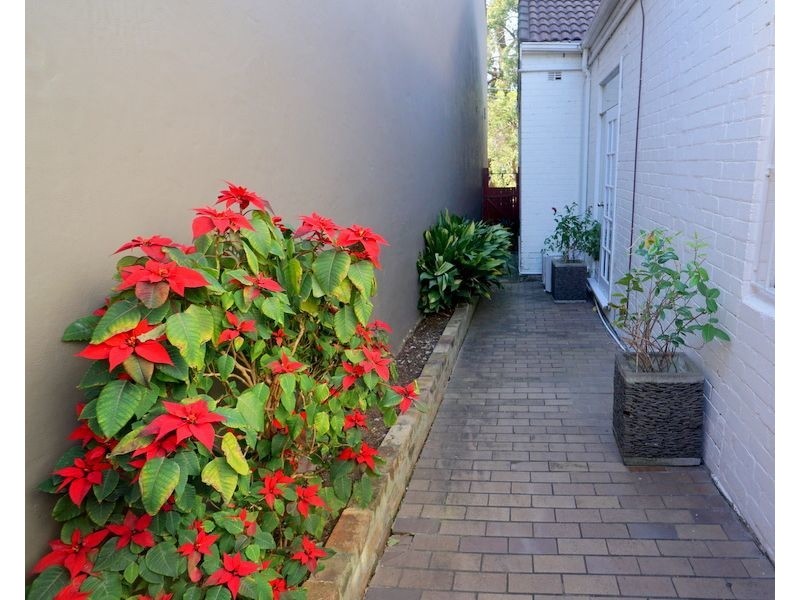 181 Denison Street, Bondi Junction NSW 2022