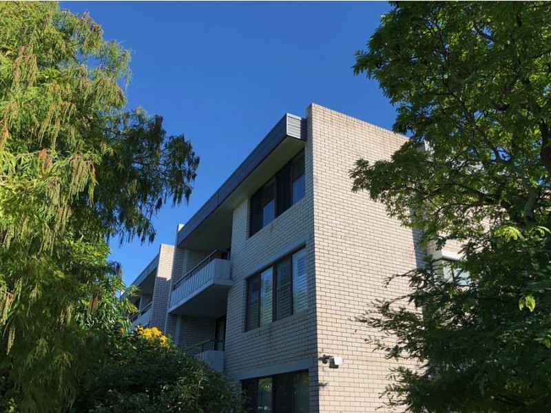 12/11 Shottery Street, Yeronga QLD 4104