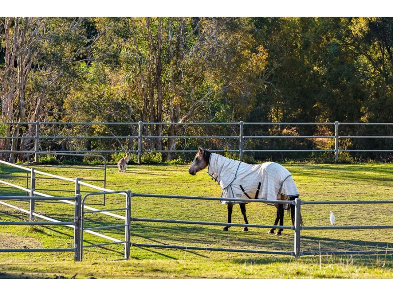 106 Leacroft Rd, Burbank QLD 4156