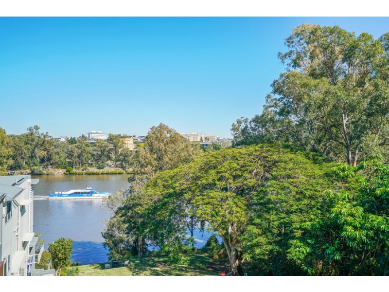82 Rosecliffe Street, Dutton Park QLD 4102
