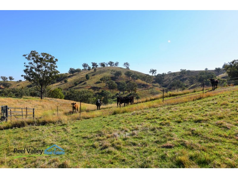 321A Daruka Road, Tamworth NSW 2340