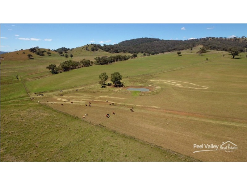 5042 Back Kootingal Road, Tamworth NSW 2340