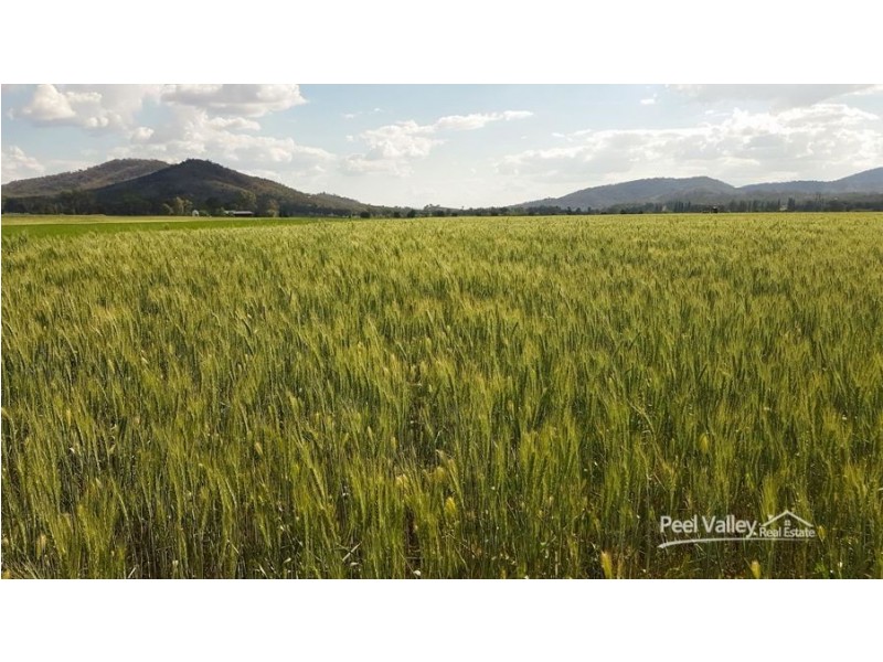 773 Back Kootingal Road Kootingal, Kootingal NSW 2352