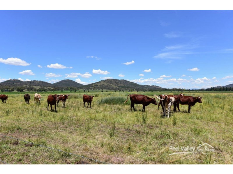 773 Back Kootingal Road Kootingal, Kootingal NSW 2352