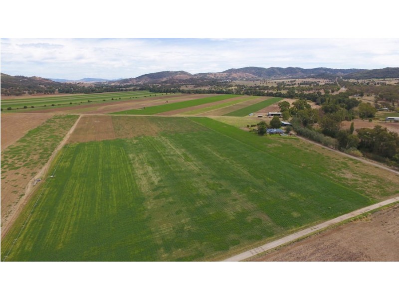 773 Back Kootingal Road Kootingal, Kootingal NSW 2352