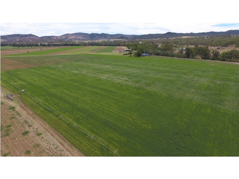 773 Back Kootingal Road Kootingal, Kootingal NSW 2352