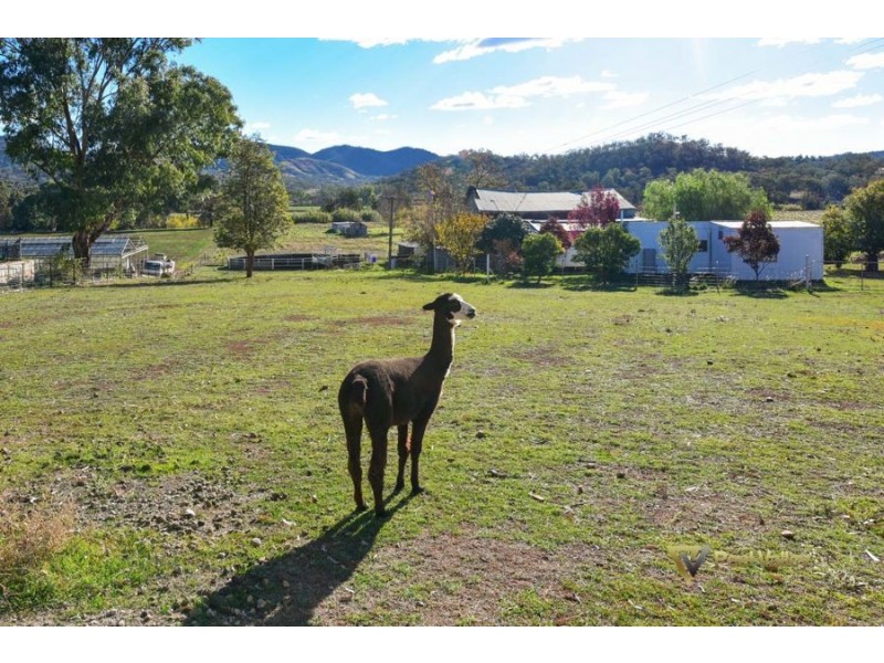 Craiglea Lot 4 Back Kootingal Road, Tamworth NSW 2340